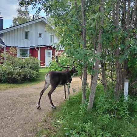 Riverhouse Lumo Vakantiehuis *