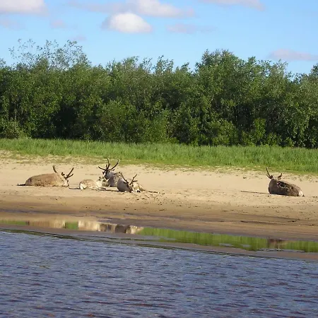 Vakantiehuis Riverhouse Lumo Ivalo